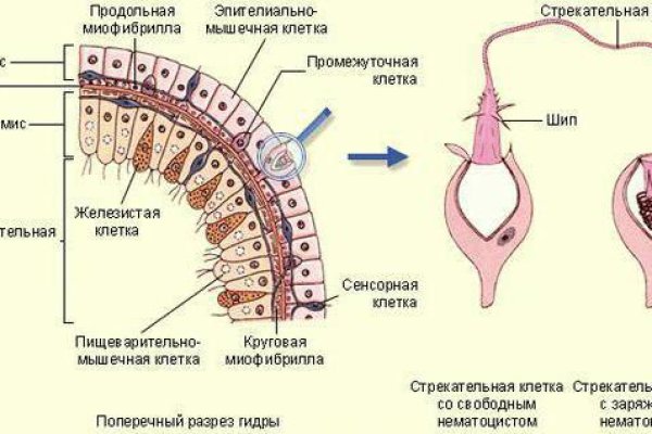 Кракен в обход