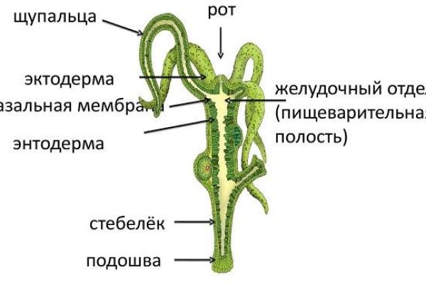 Кракен онион тор