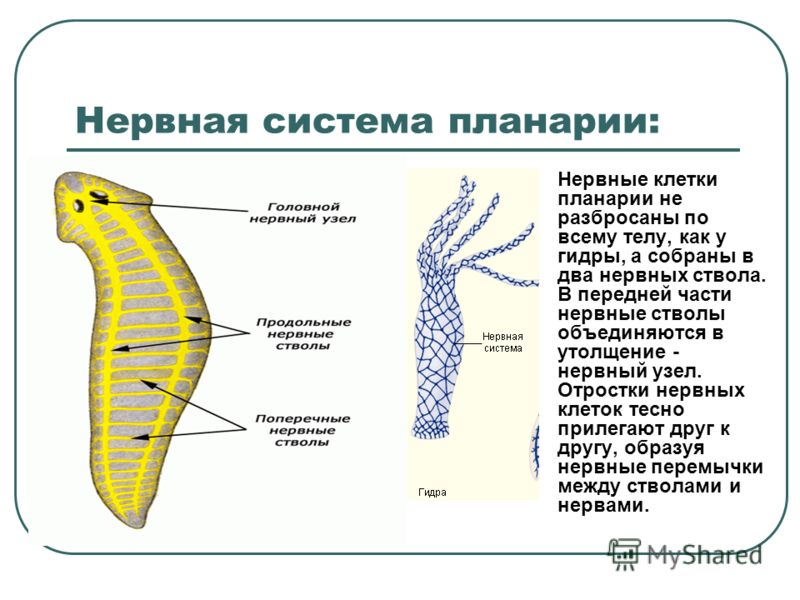 Kra48.cc