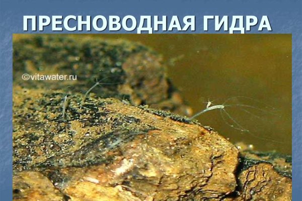 Кракен даркнет что известно
