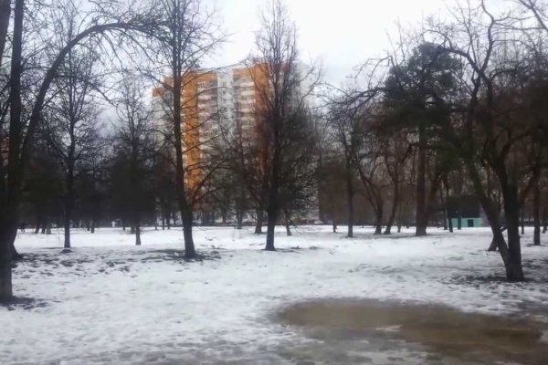 Ссылка на кракен шоп