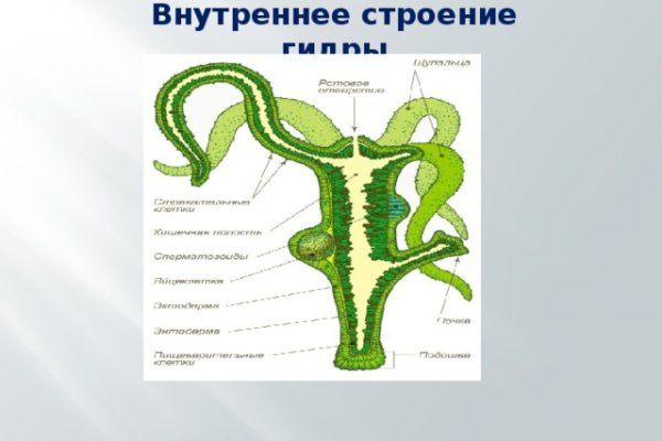 Кракен ориг ссылка