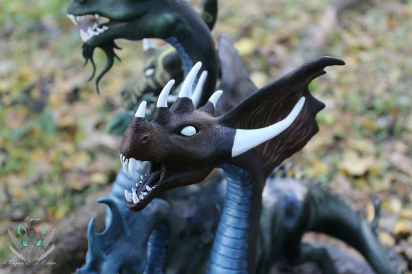 Kraken 12 at