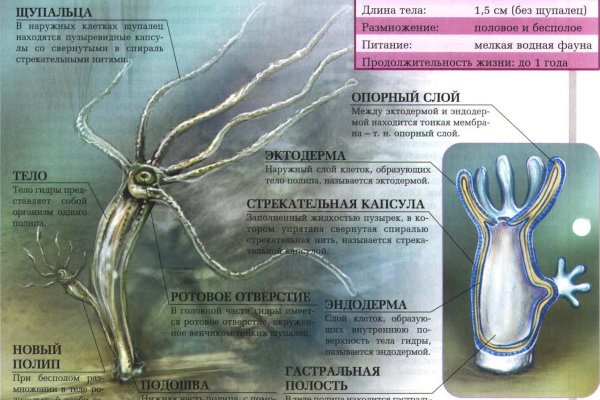 Кракен маркетплейс почему не закроют