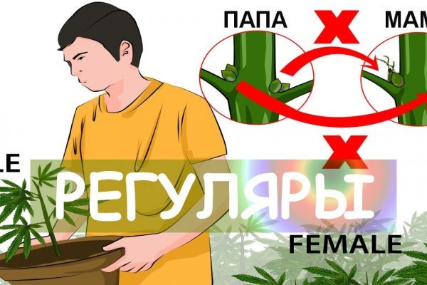 Кракен сайт вход kraken torion