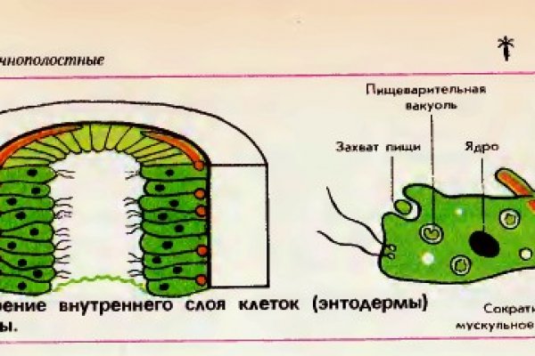 Кракен маркетплейс что это
