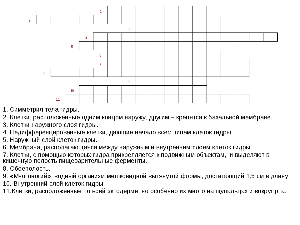Даркнет каталог